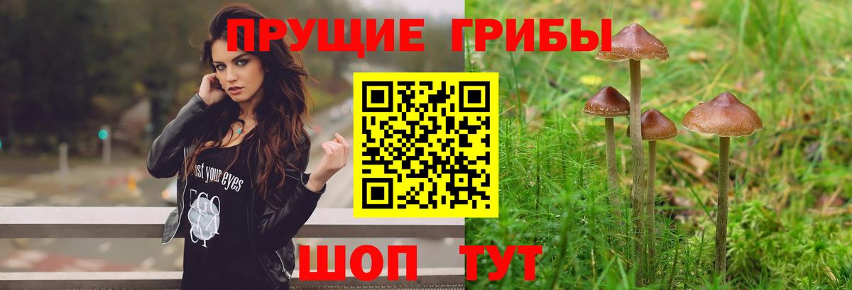 Псилоцибиновые грибы ЛСД  где найти наркотики  Бахчисарай  Вход с VPN 